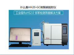 Rohs2.0测试仪 邻苯热裂解快速筛查TP-20GC/TP-20GC